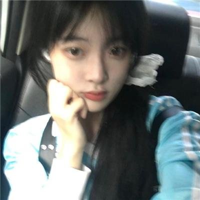 蜘蛛与郁金香