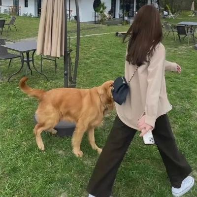 肥猫正传粤语
